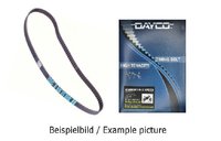 Motor belt / Drive belts