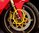 Ducati front fender holding bracket