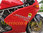 Ducati SS Carenata mounting kit front black